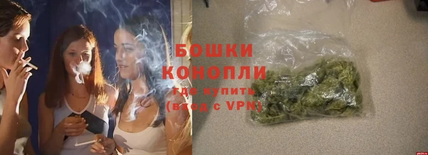 гидропоника Ладушкин