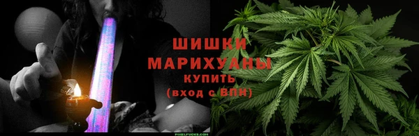 прущие грибы Лагань