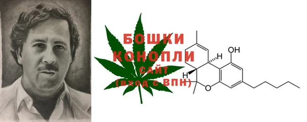 прущие грибы Лагань