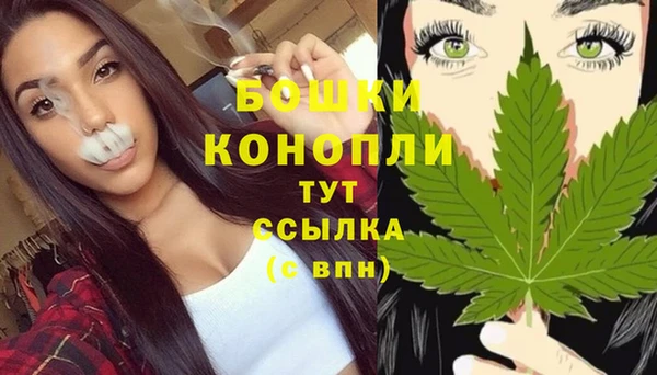 прущие грибы Лагань