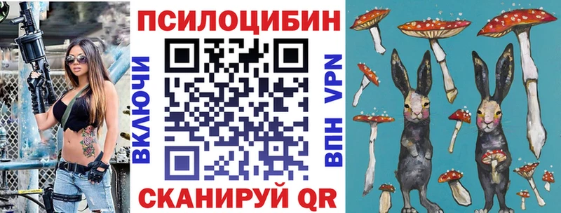 Галлюциногенные грибы мухоморы Озёрск