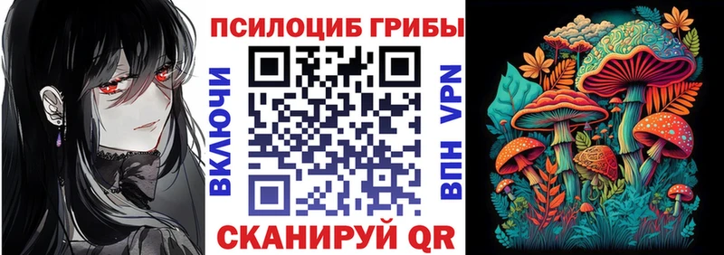 Псилоцибиновые грибы Psilocybe Озёрск